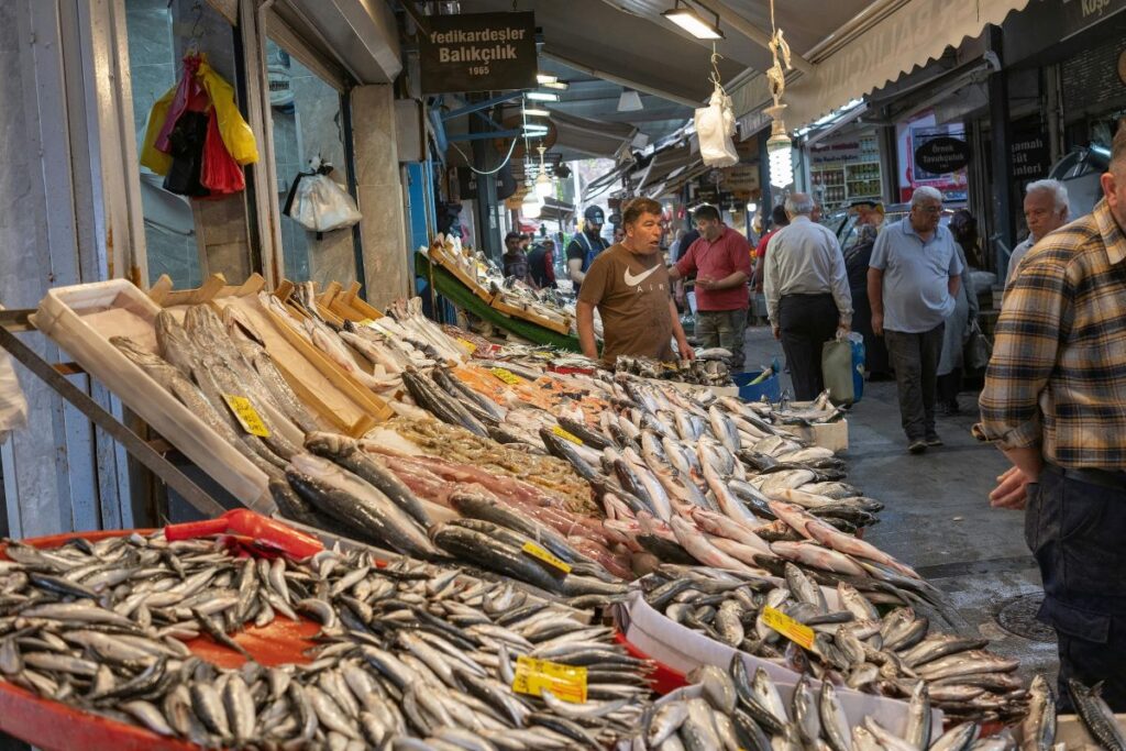 Traditional Black Sea fish 